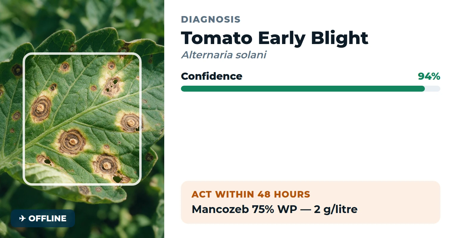 Kalpita KrishiAI — on-device disease detection with confidence score