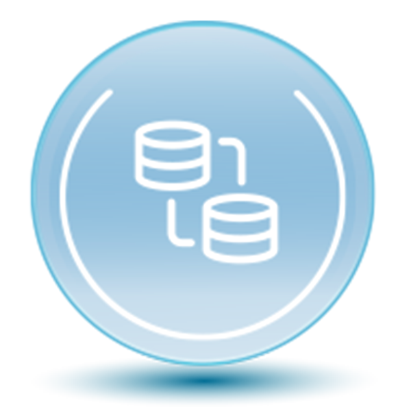 Data Migration & Integration