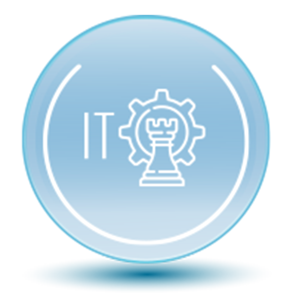 Custom IT Strategy Development