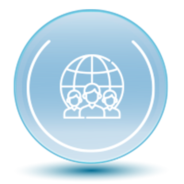 Global Teams, Localized Support for Custom Projects