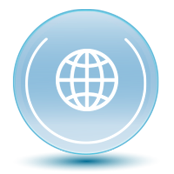 Global Project Experience